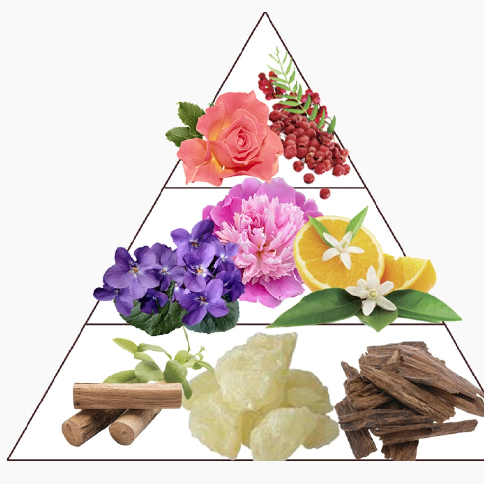 Blanche Musk 30ml - Extrait de Parfum