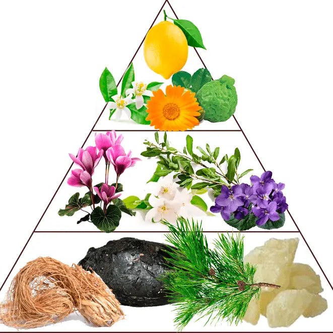 Profumo Cannes Festive 30ml Extrait de Parfum