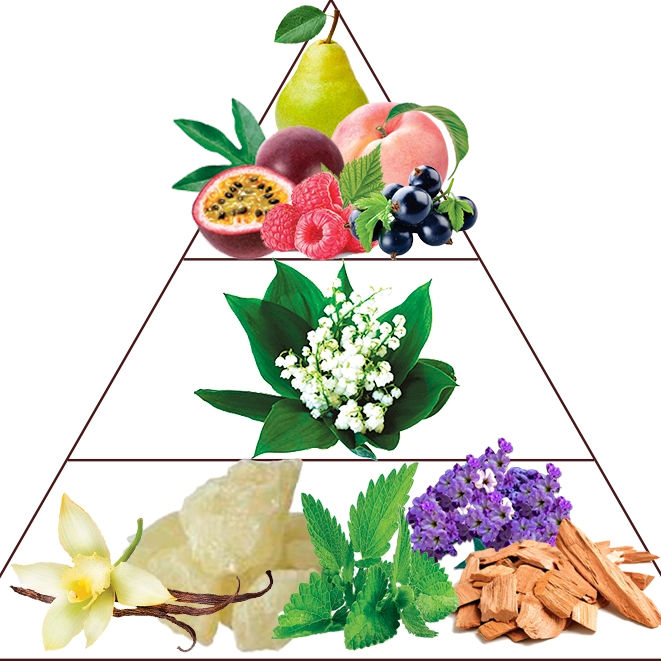 Fruity Musk30ml - Extrait de Parfum