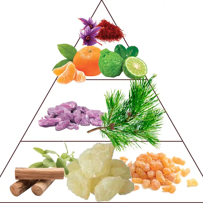 Molecule Tobacco 30ml - Extrait de Parfum