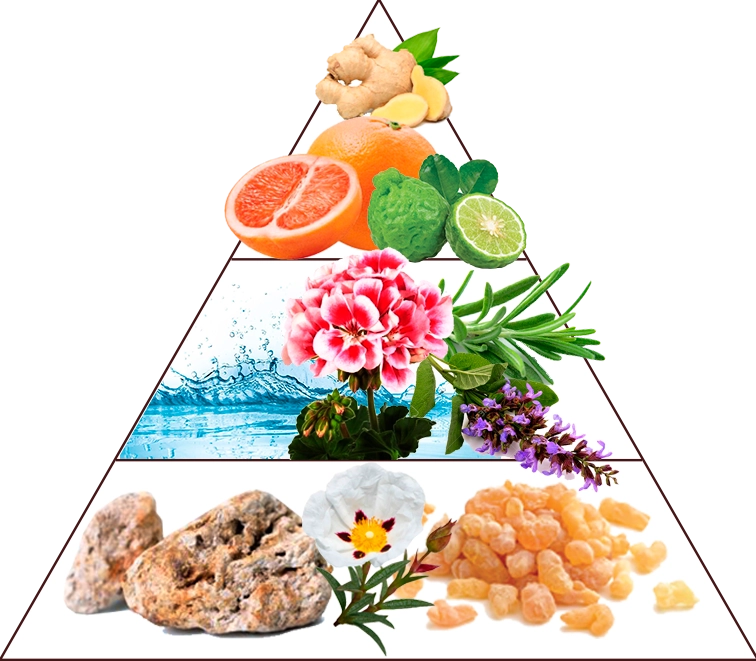 Monte Carlo 30ml - Extrait de Parfum