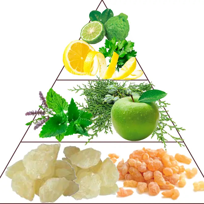 Profumo Dubai 30ml Extrait de Parfum