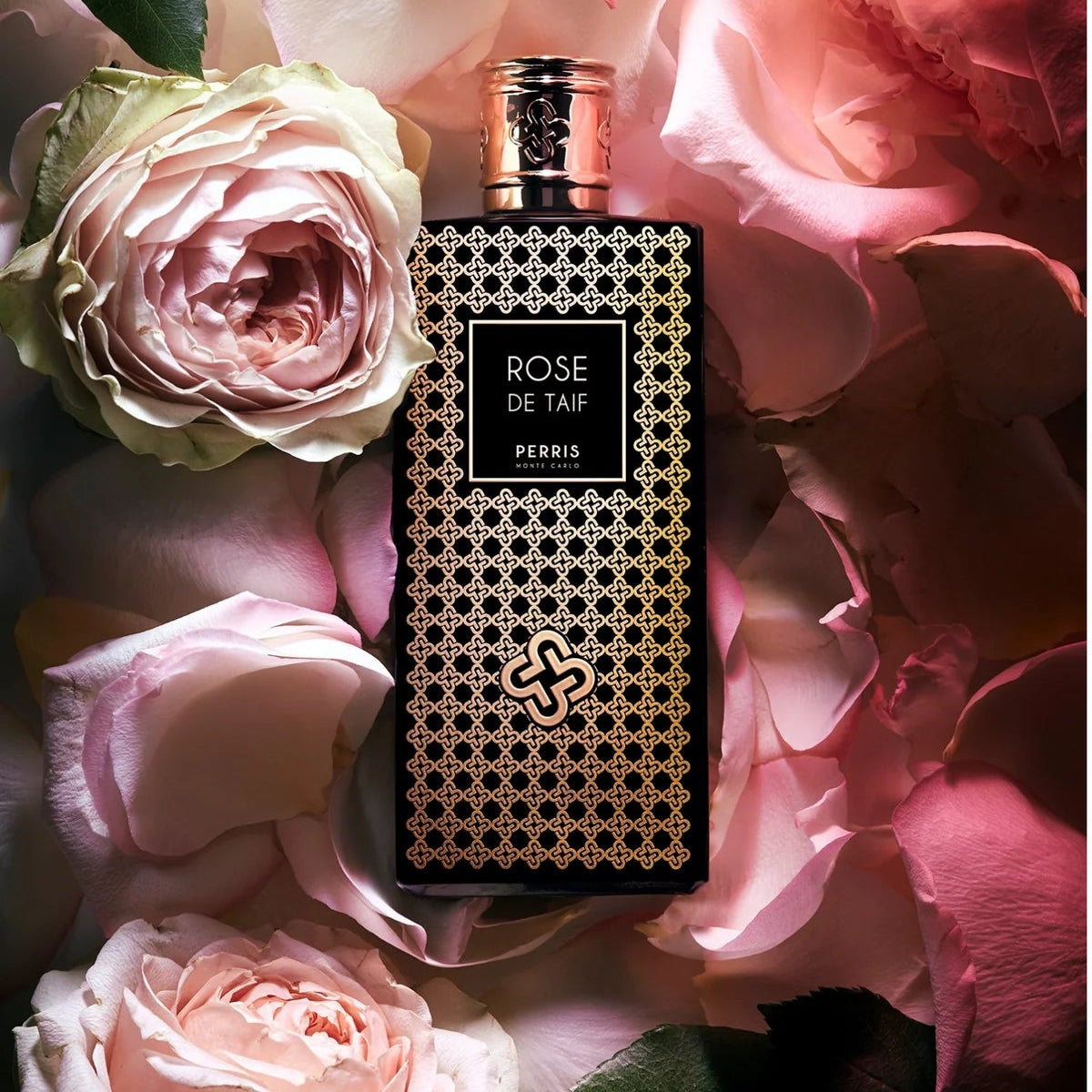Rose de Taif - PERRIS MONTECARLO - EDP