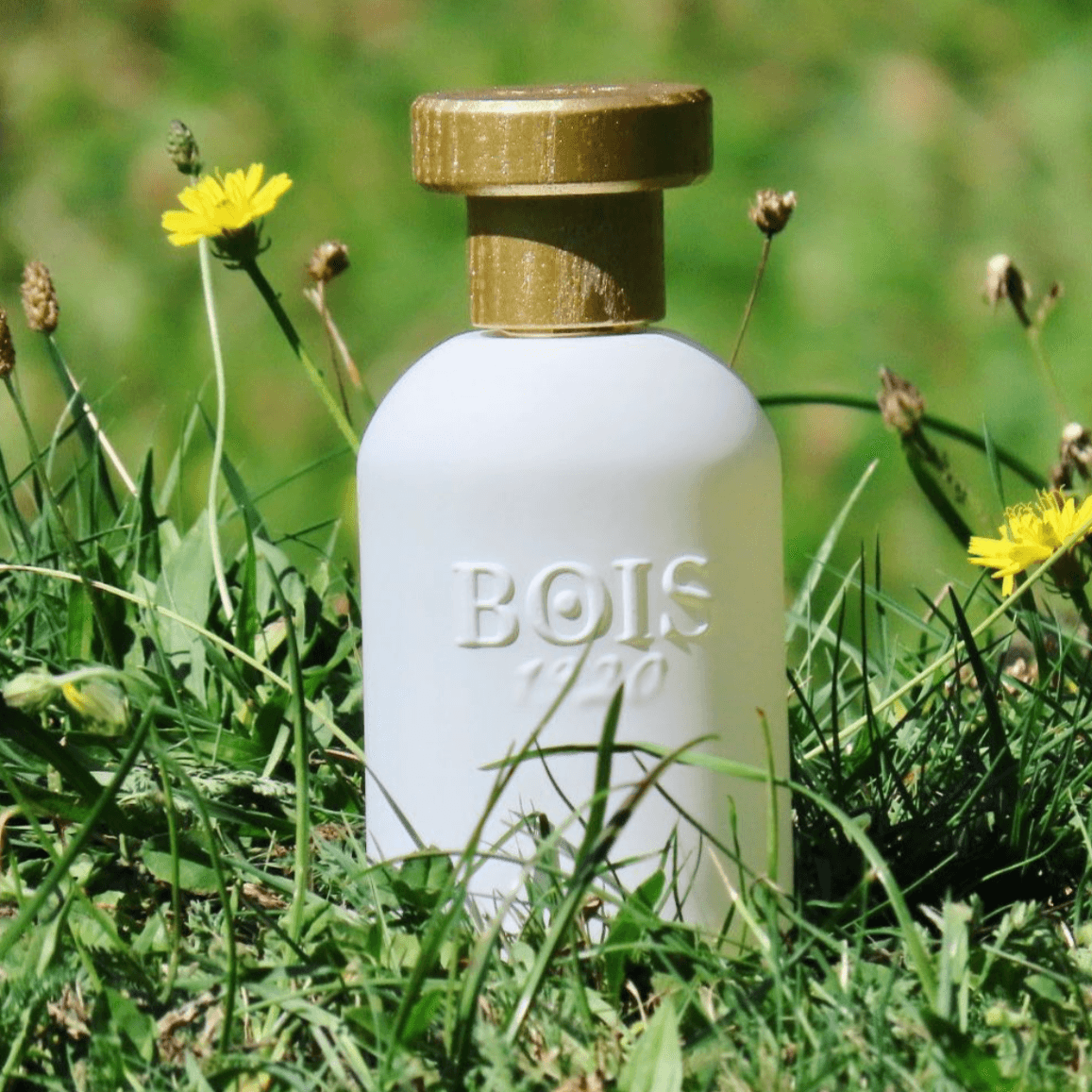 Oro Bianco - Bois 1920 - LUXURY PARFUMES 