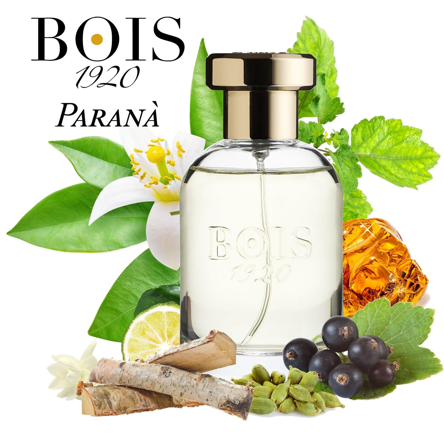 Parana' - BOIS 1920 - - LUXURY PARFUMES 