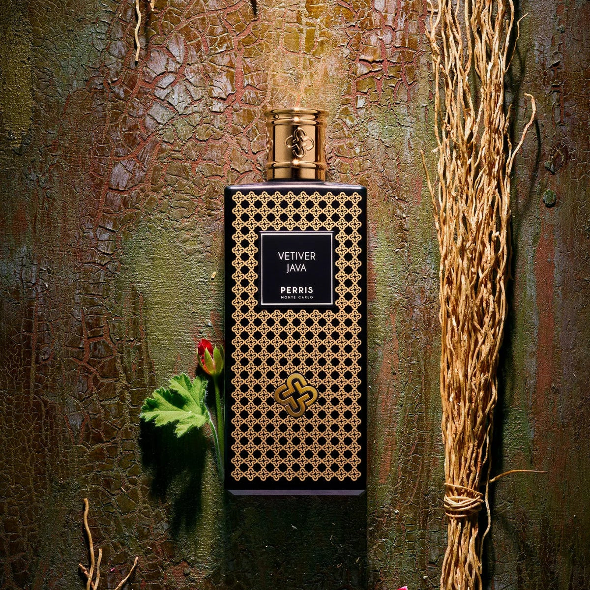 Vetiver Java - PERRIS MONTECARLO - EDP