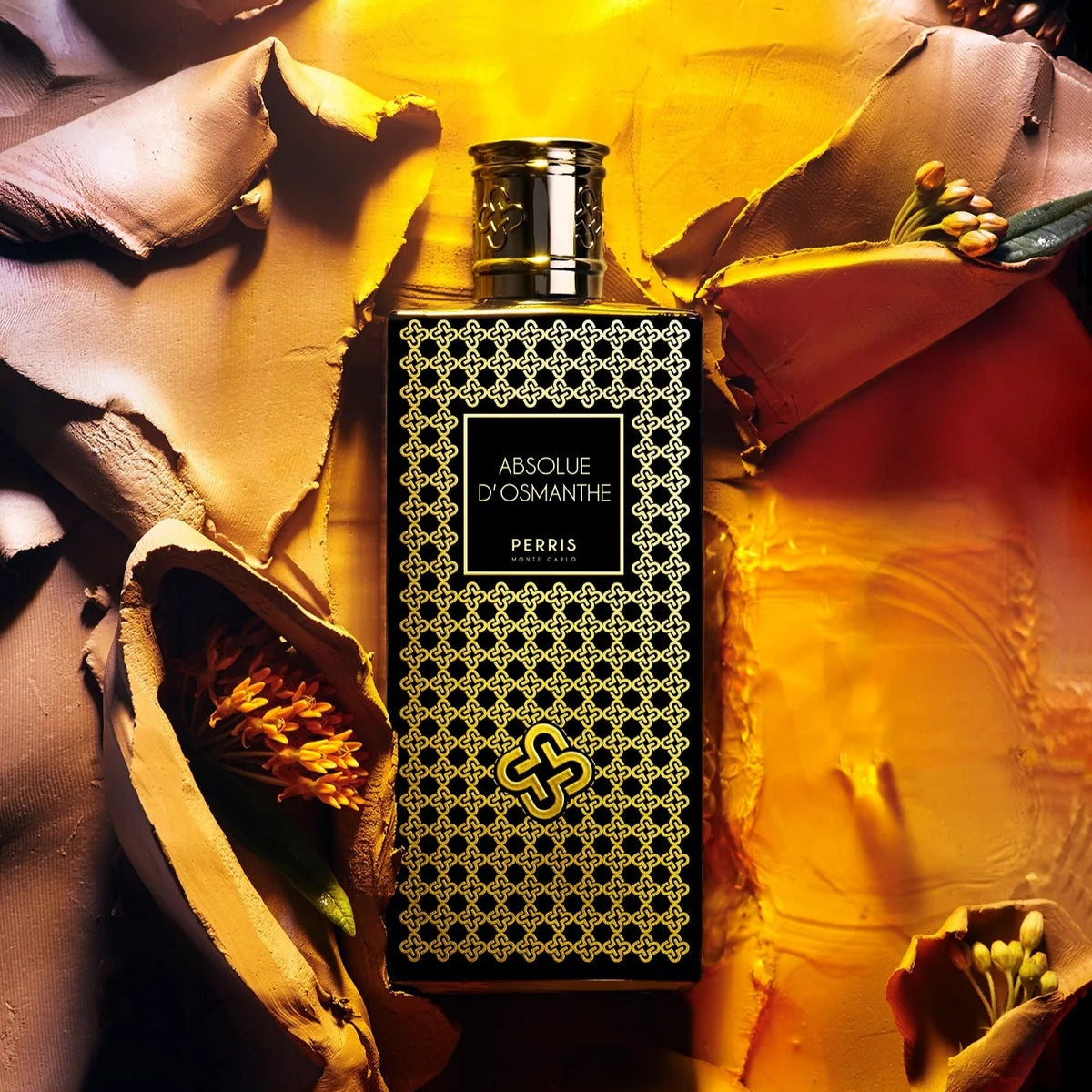Absolue d’Osmanthe - PERRIS MONTECARLO - EDP